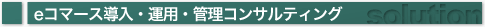 eR}[XE^pEǗRTeBO